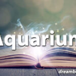 Aquarium dream
