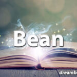 Bean dream