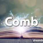 Comb dream