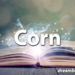 Corn dream