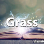 Grass dream