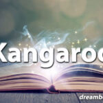 Kangaroo dream