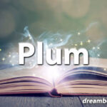 Plum dream