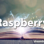 Raspberry dream