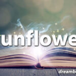 Sunflower dream
