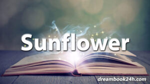 sunflower dream meaning - dreambook24h.com sunflower dream meaning - dreambook24h.com