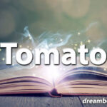 Tomato dream