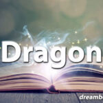 Dragon dream