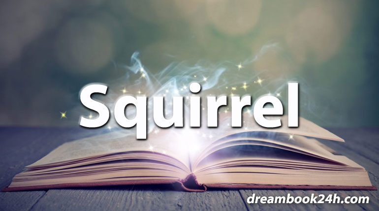 squirrel dream meaning - dreambook24h.com