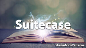 suitcase dream meaning - dreambook24h.com suitcase dream meaning - dreambook24h.com