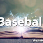Baseball dream