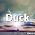 Duck dream