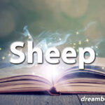 Sheep dream