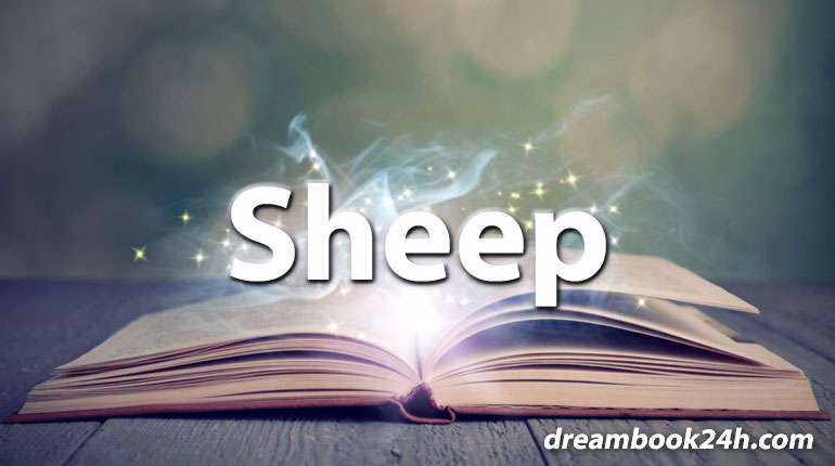 sheep dream meaning - dreambook24h.com