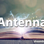 Antenna dream