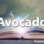 Avocado dream